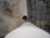 imagens/fotografias/Ciencias_Comunicacao/2007/Mist