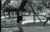 imagens/fotografias/Ciencias_Comunicacao/2007/Movimento